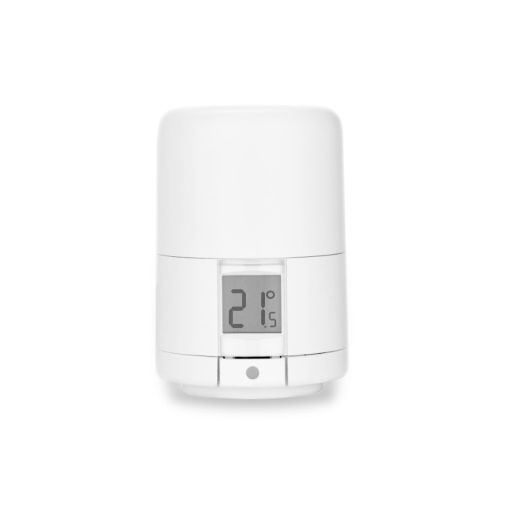 white-background-wrv-e