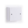 Angled View of Blanking Plate and Surface Mount Pattress